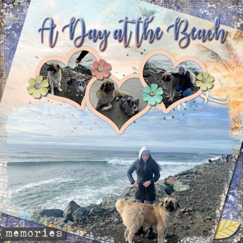 2024-02-TLP-Template-Challenge