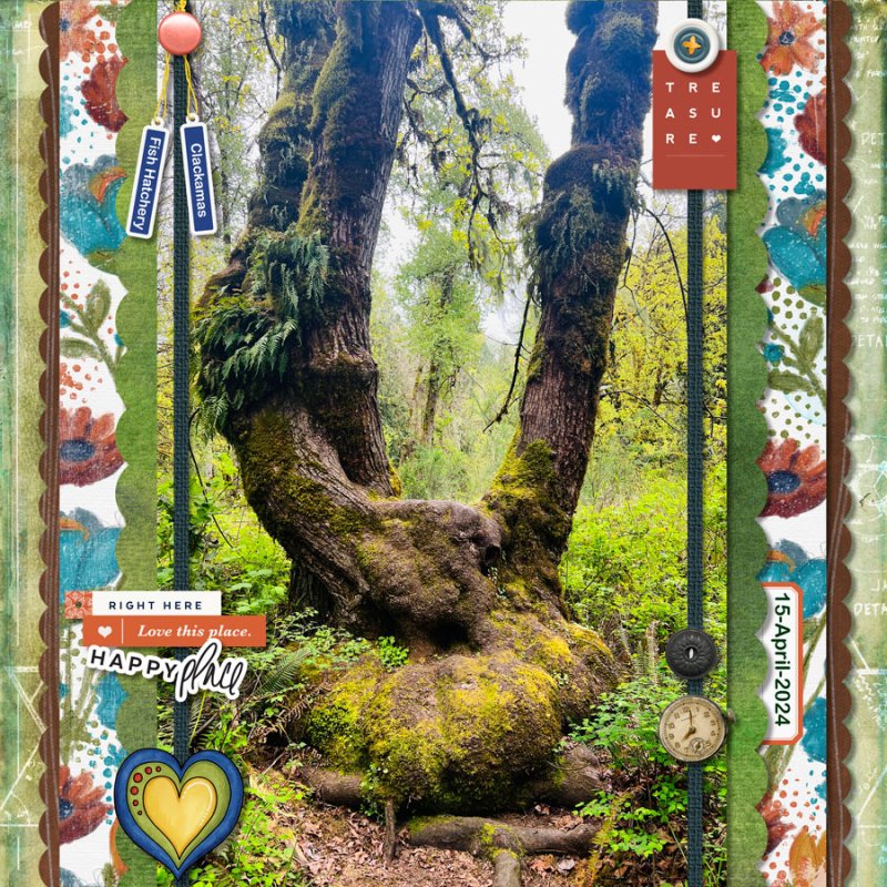 2024-04-TLP-Scraplift-Challenge