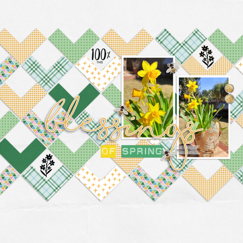 2024-08-11_BlessingsOfSpring