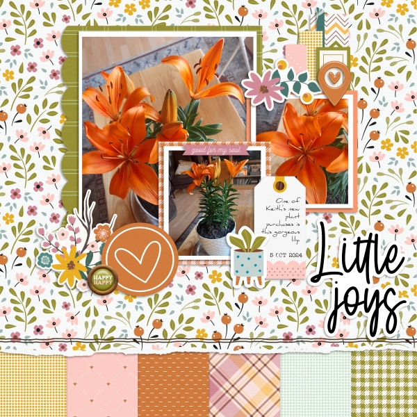 2024-10-05_LittleJoys