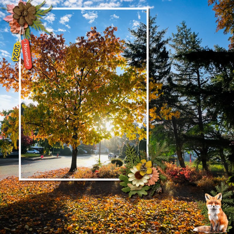 2024-11-TLP-Photography-Challenge