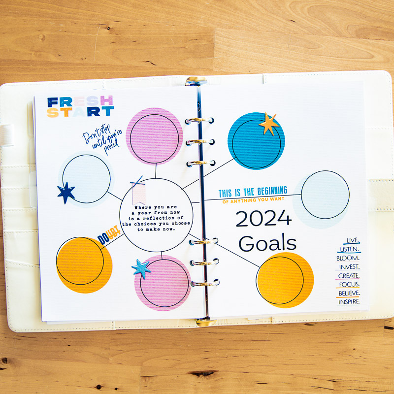 2024 Goals (planner hybrid)