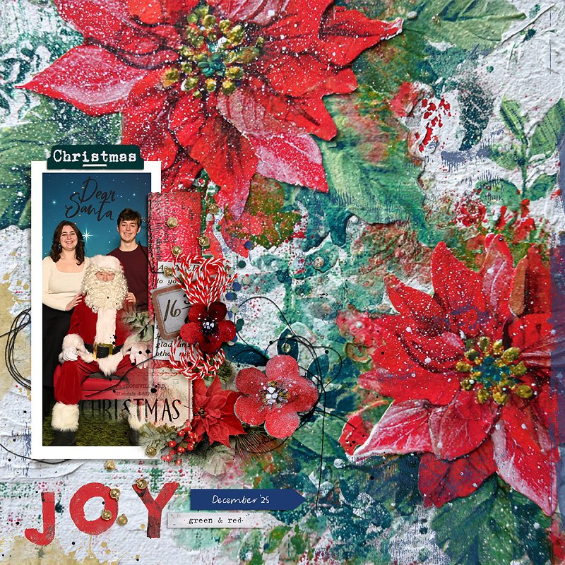 2024-JOY---Visit-to-Santa.jpg