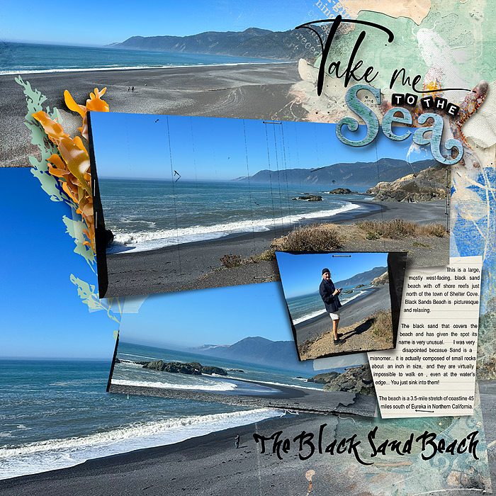 2024-Shelter-Cove-Black-Sand-Beach