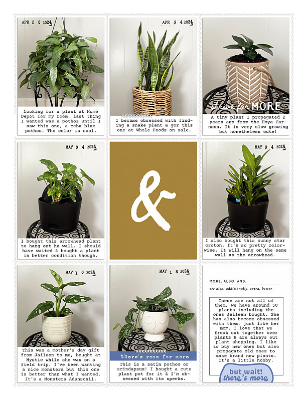 2024 Week plants Left