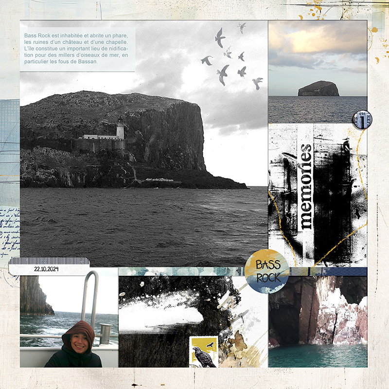 20241022-Bass Rock