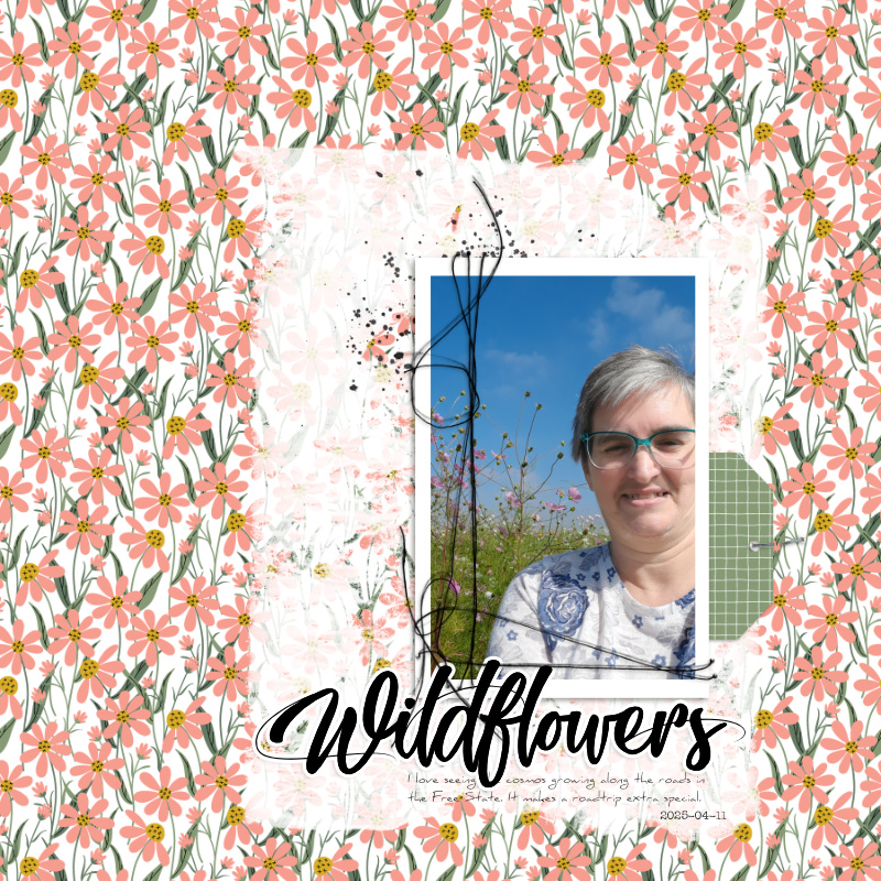 2025-04-11_Wildflowers