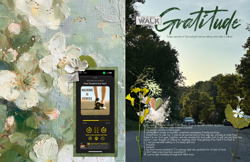 2025-06-01-journal-walk-gratitude-list