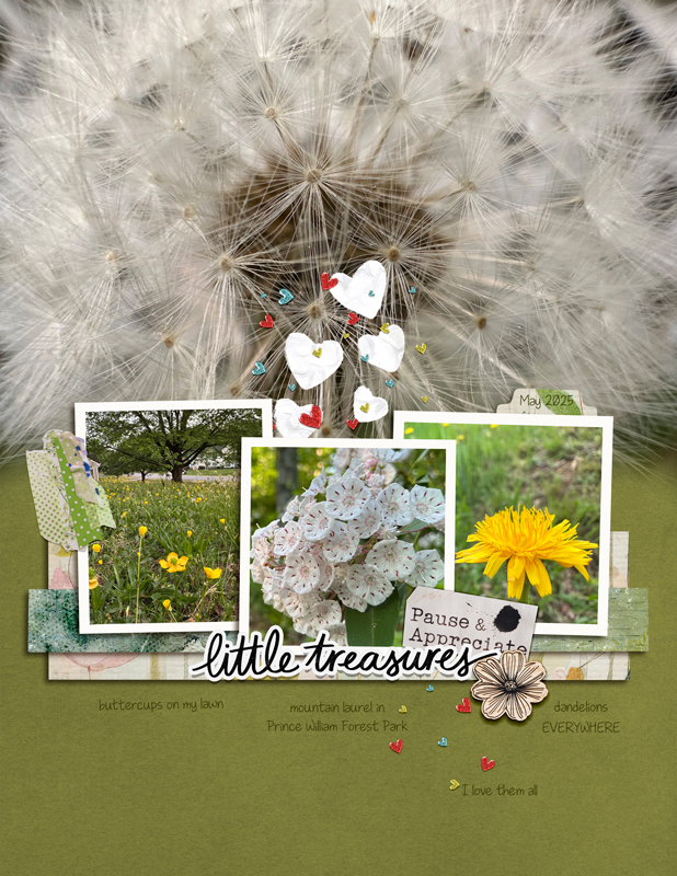 2025-06-01-template-may-flowers