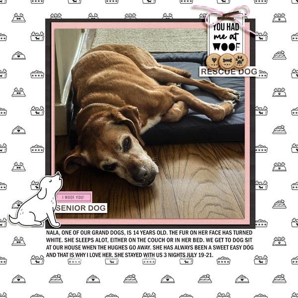 2025-7-20-nala-barnyard buddies week 4