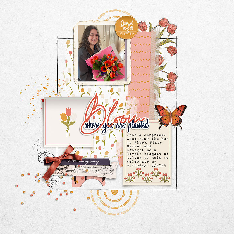 2025-Birthday-Tulips