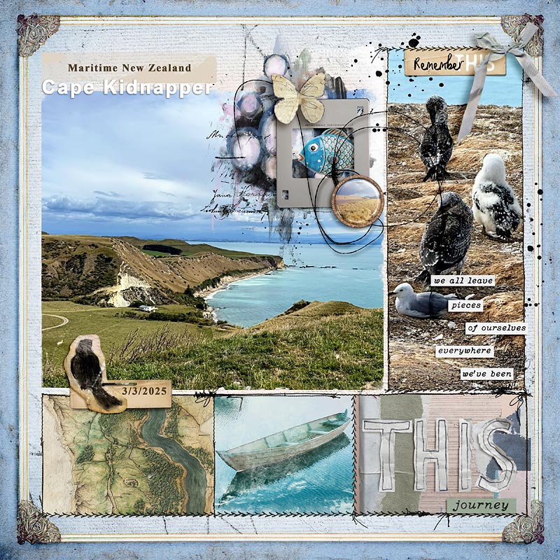 2025-Cape-Kidnapper-New-Zealand.jpg