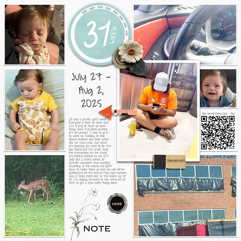 2025 | Week-31