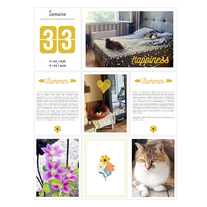 2025 - Week 33 | p1
