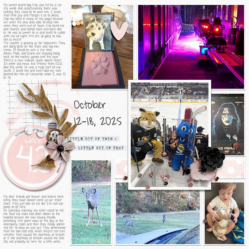 2025 | Week 42