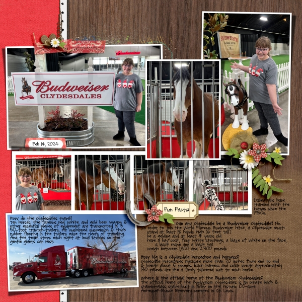 2025FEB_ Challenge_ Photo