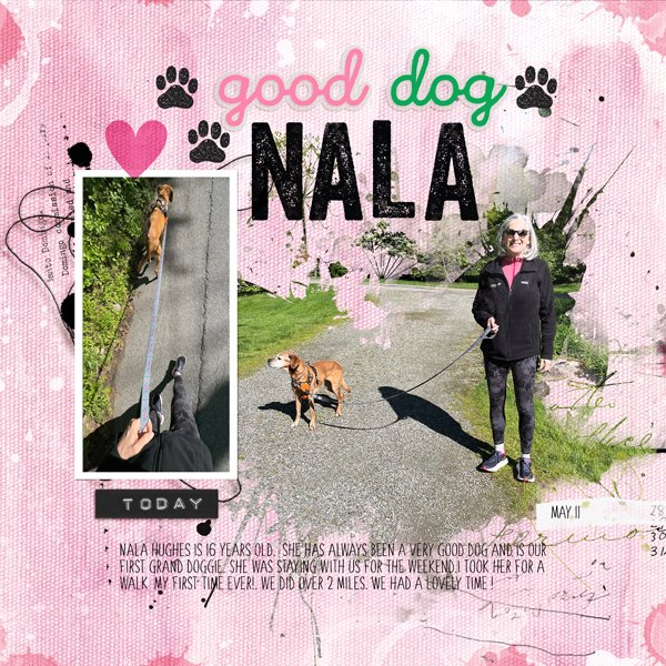 2026-5-11-walking-nala--Recovered_600web.jpg