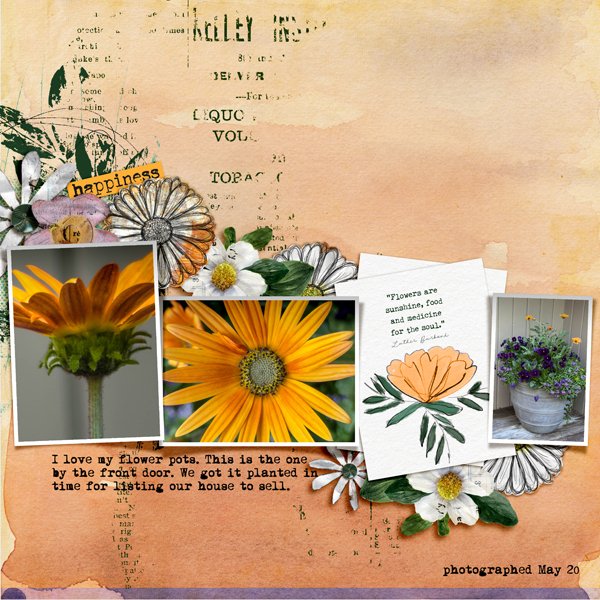 2026-5-20-potted-flowers-perspectives_600web.jpg