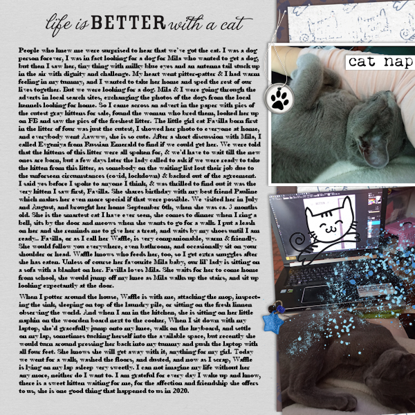 210115_life With Cat