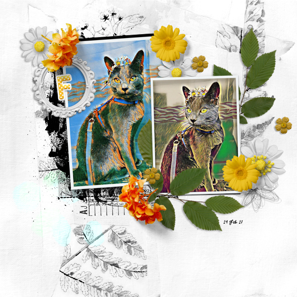 210224_cat Wreath Flowers