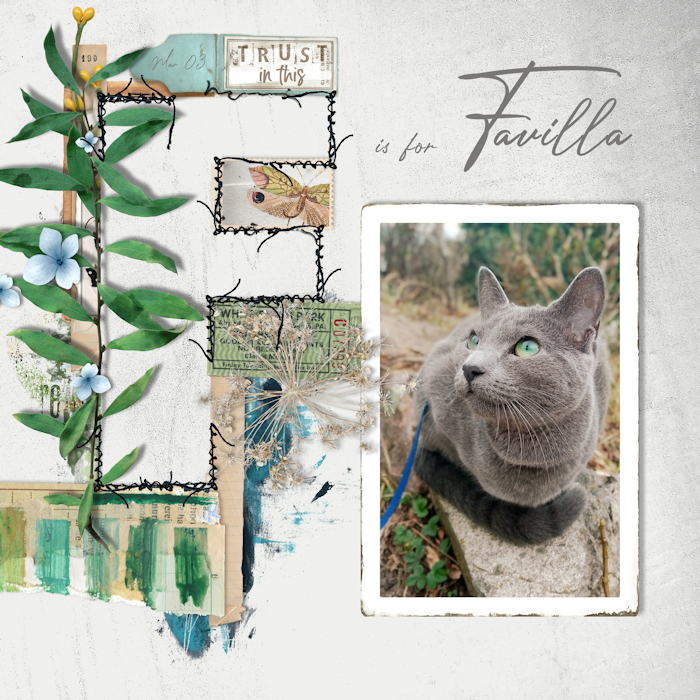 210303_F For Cat