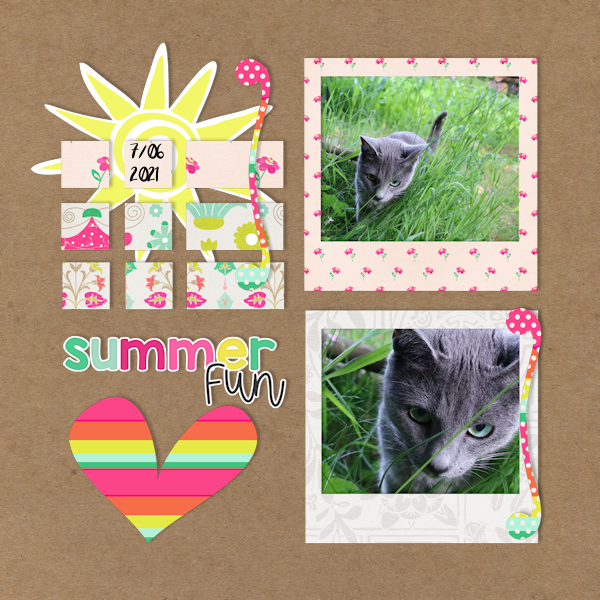 210607_cat Summer
