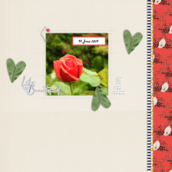 210617_rose