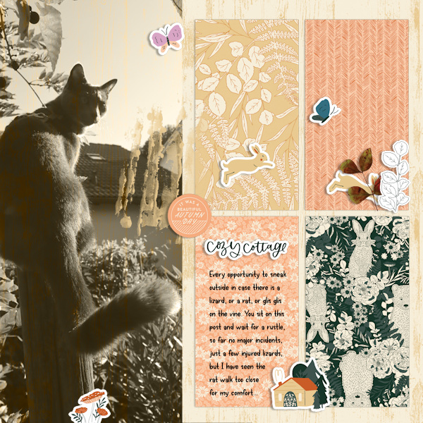 210903_kitty Post