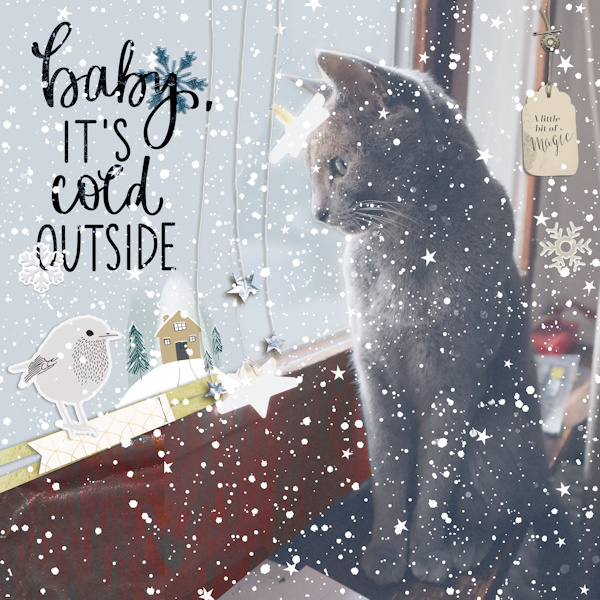 211201_cat Window