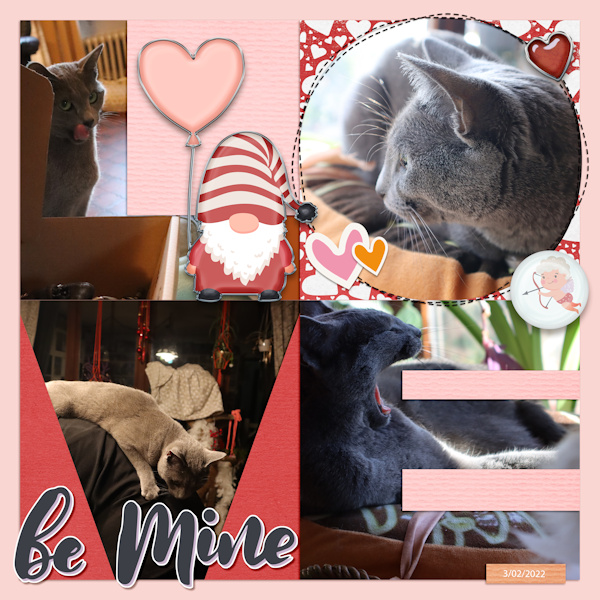 220203_cat Be Mine