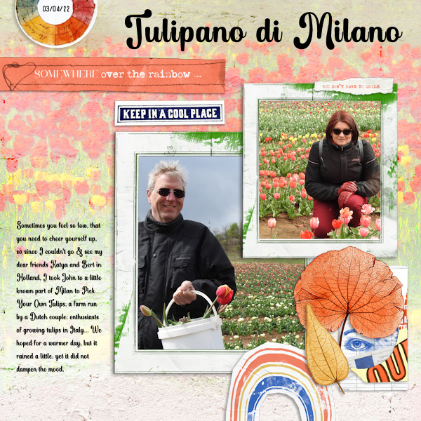 220403_tulipani