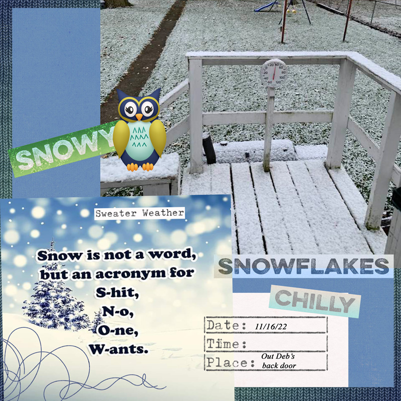 221116_firstsnow2