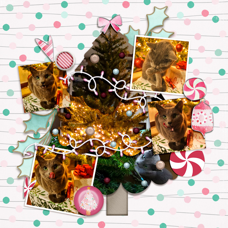 221204_F Tree1