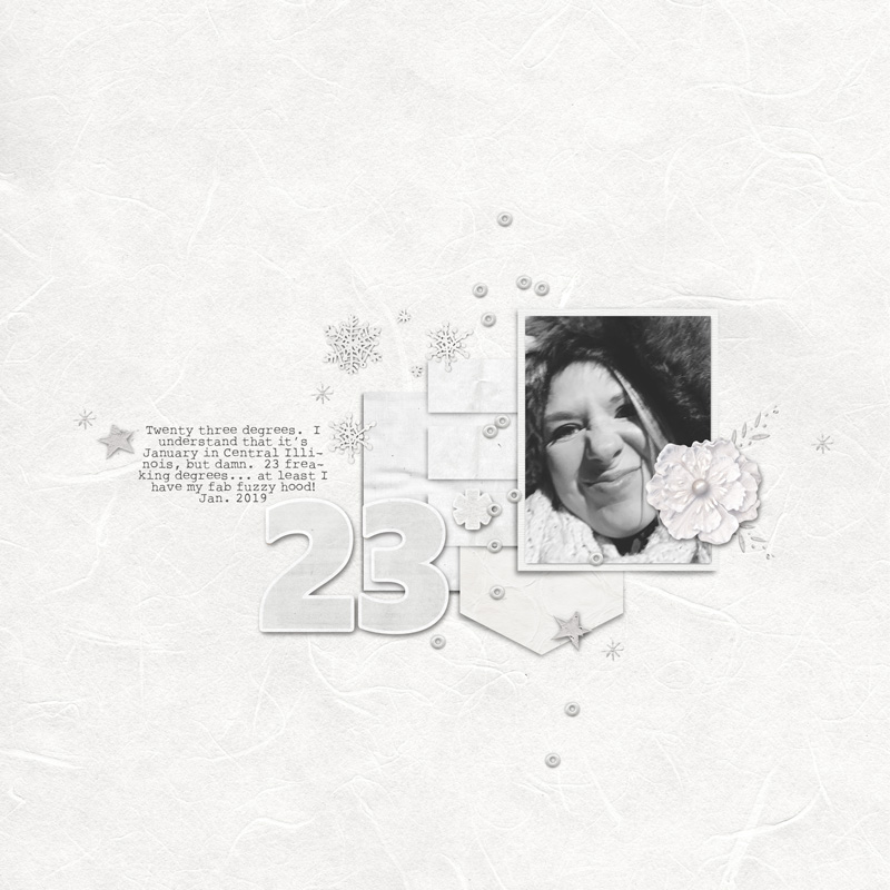 23 Degrees | January 2019