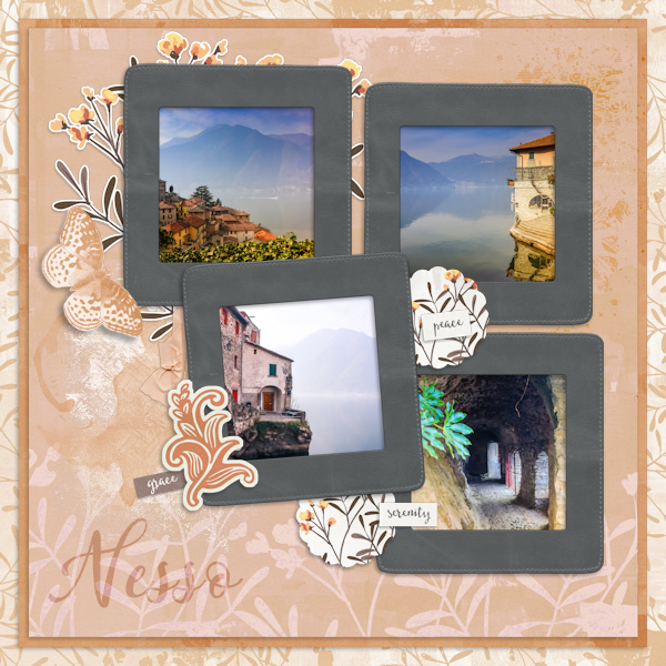 230218_Nesso1
