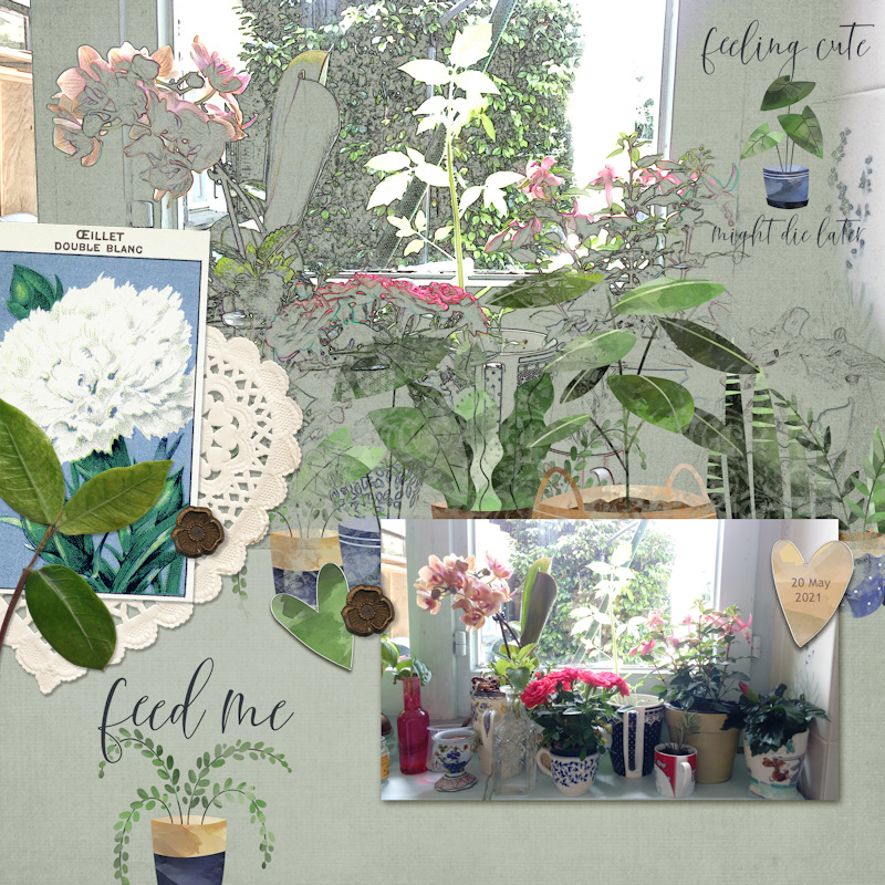 2302_plants