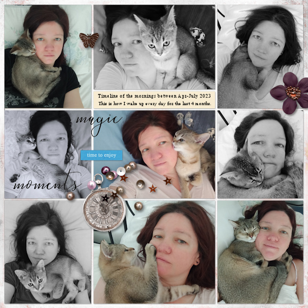 2304-07 Morning Cat