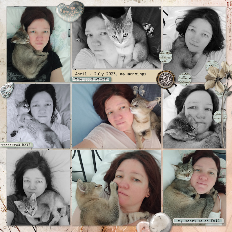 230407_morning OP Pip