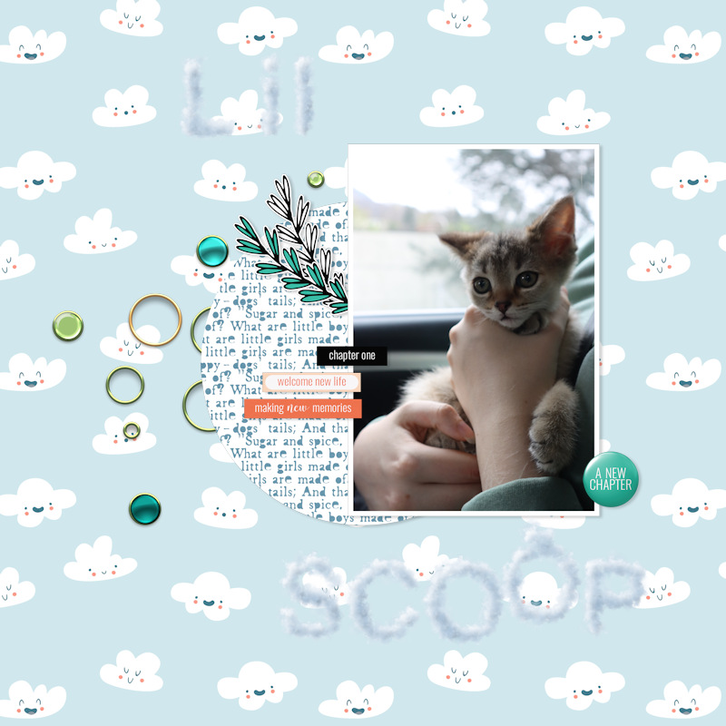 230408_scoop
