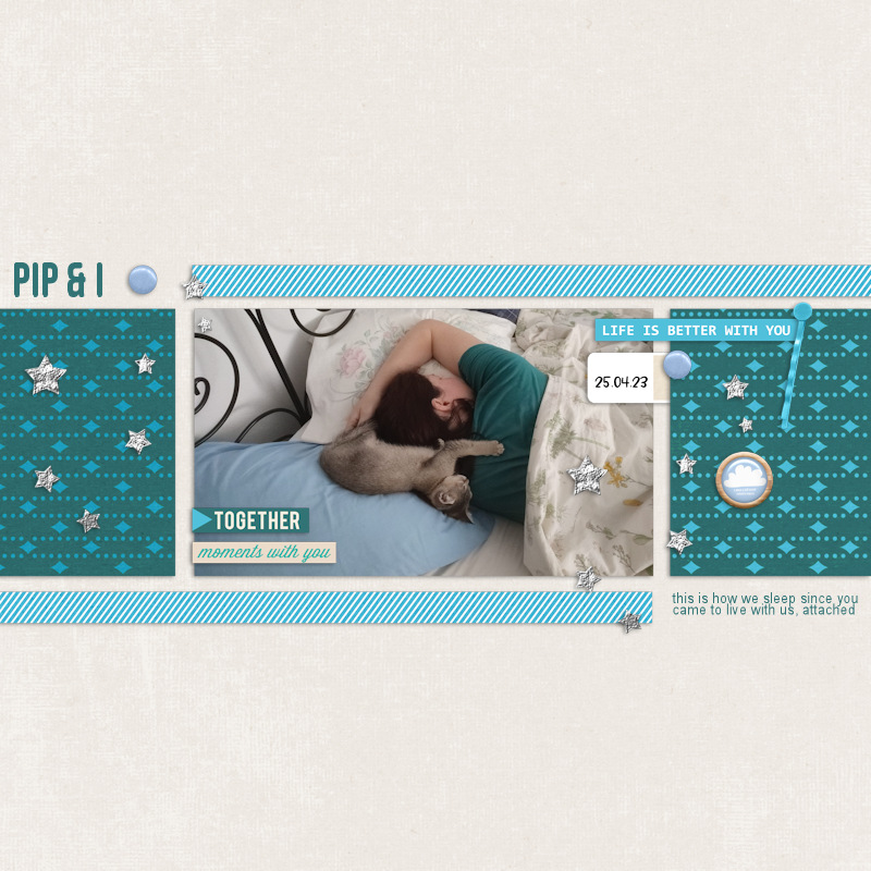 230425_Pip OP