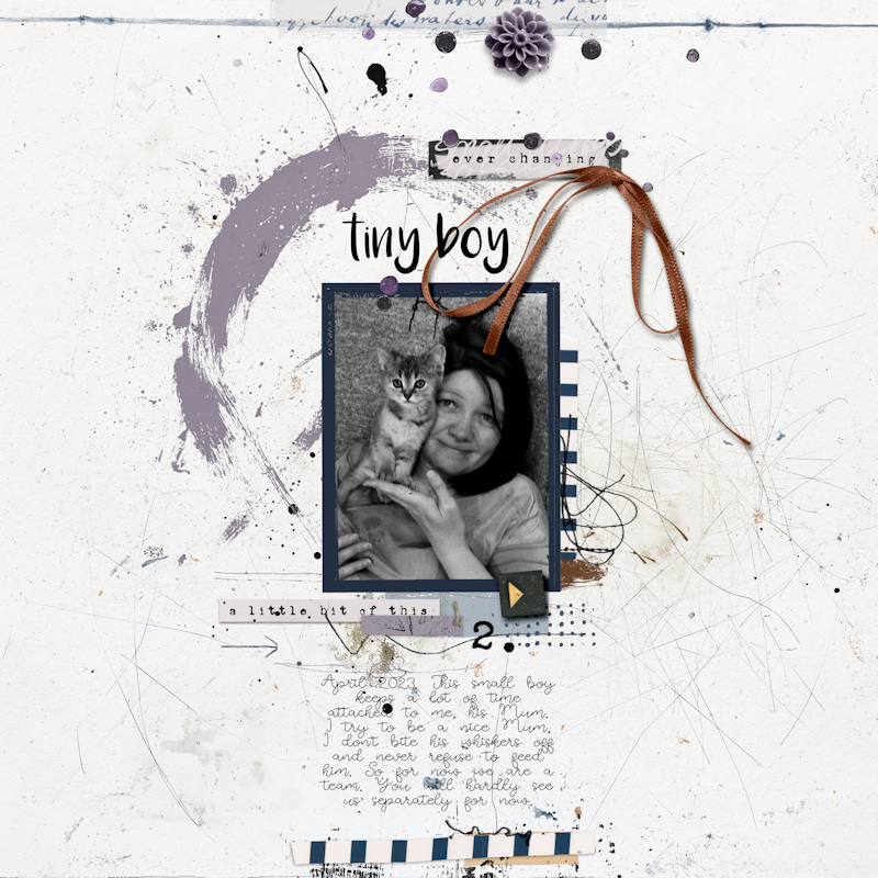 2304_Pip Tiny
