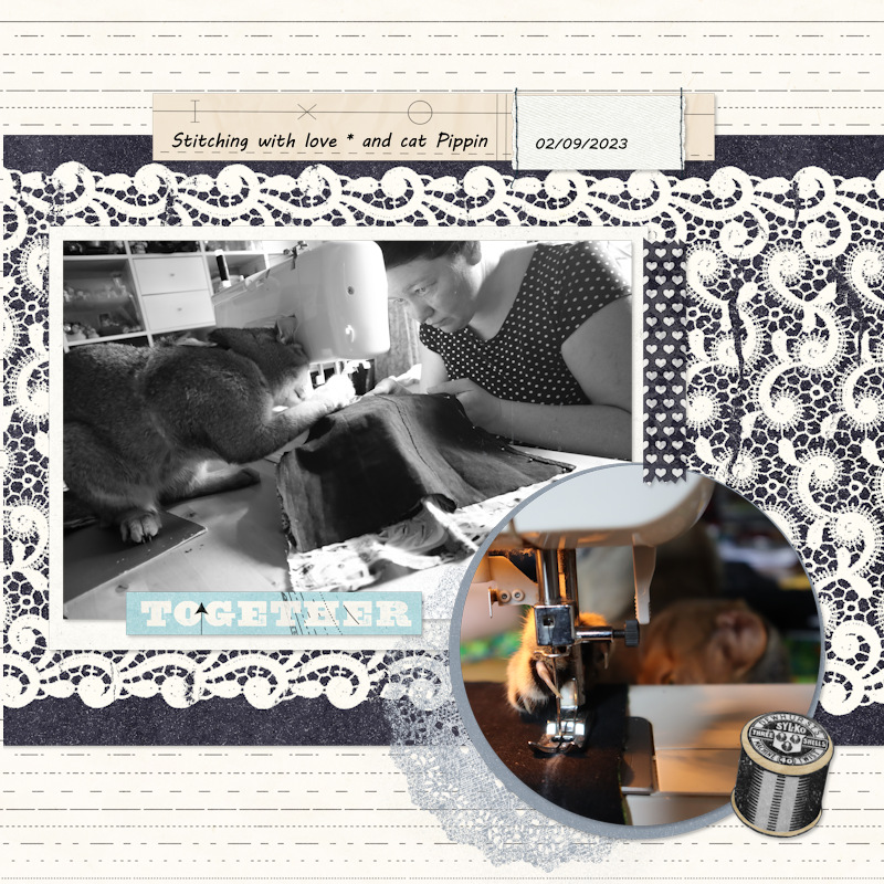 230902_Pip Stitching