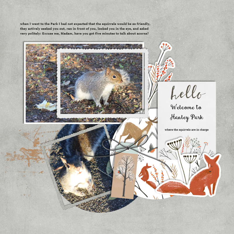 231113_squirrels