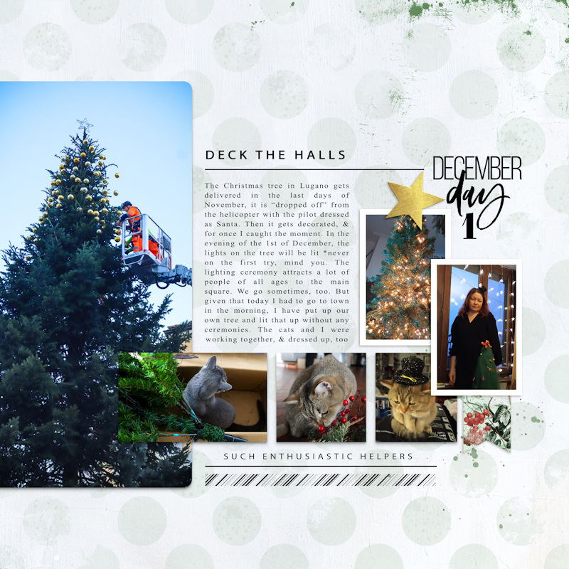 231201_DYD1
