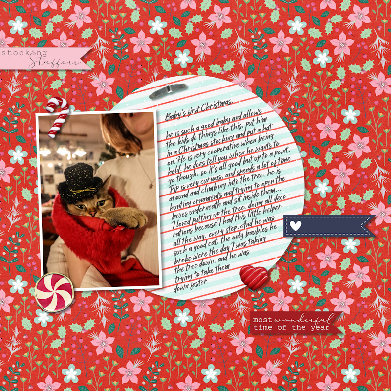 231228_pip Sock