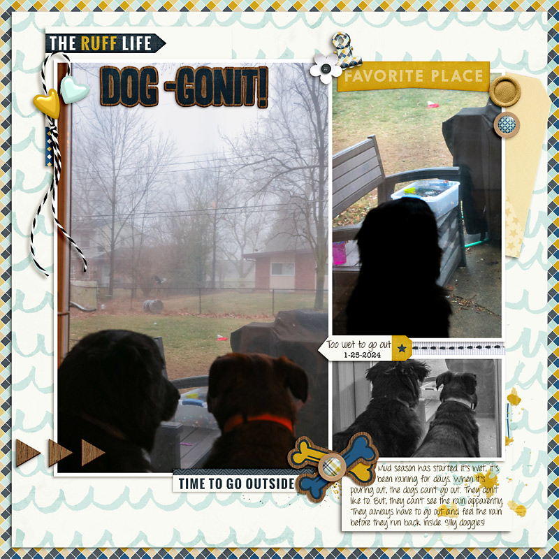 24 01 25 Dog mudpit