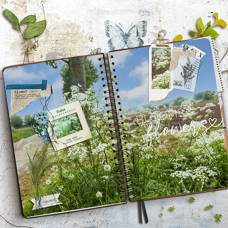 24-05_TLP_May-Photography-Challenge