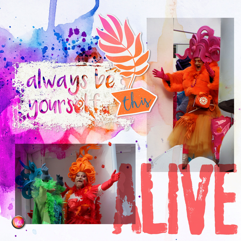 240211_alive