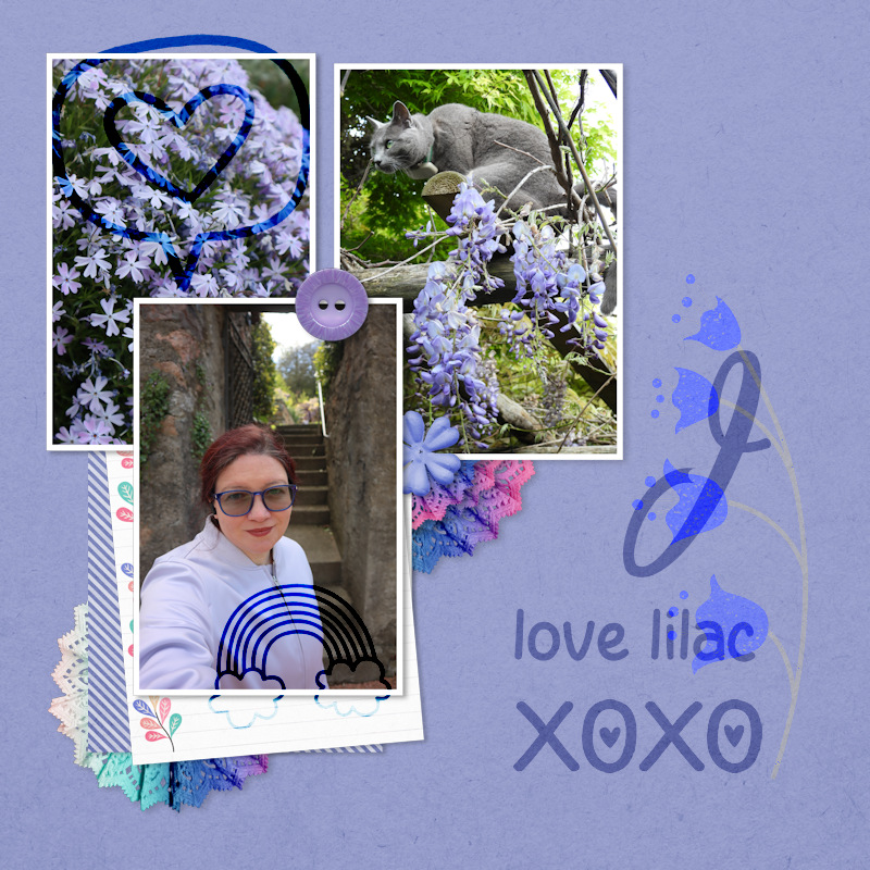 240324_lilac