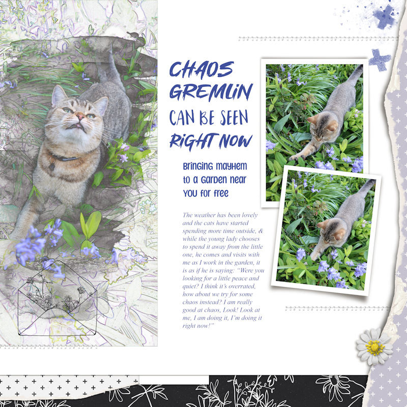 240415_Pip Chaos
